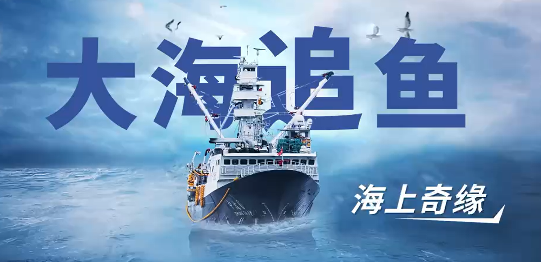 49图库案